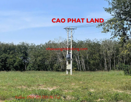 BÁN ĐẤT TẠI DẦU TIẾNG, BÌNH DƯƠNG, DIỆN TÍCH: 3,2 HA, SP: 126-25