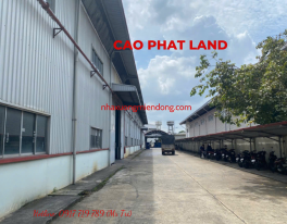 CHO THUÊ NHÀ XƯỞNG KHU CÔNG NGHIỆP SÓNG THẦN, BÌNH DƯƠNG, DIỆN TÍCH XƯỞNG: 5.500 M2, SP: 277-24