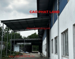 BÁN NHÀ XƯỞNG TẠI BẾN CÁT, BÌNH DƯƠNG, DIỆN TÍCH ĐẤT: 20.500 M2, SP: 49-25