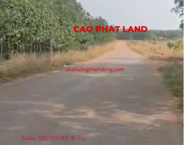 BÁN ĐẤT TẠI PHÚ GIÁO, BÌNH DƯƠNG, DIỆN TÍCH: 100-25