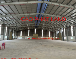 BÁN NHÀ XƯỞNG BÀU BÀNG, DIỆN TÍCH: 8,000 M2, MS: 175-22