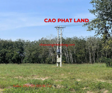 BÁN ĐẤT TẠI DẦU TIẾNG, BÌNH DƯƠNG, DIỆN TÍCH: 3,2 HA, SP: 126-25