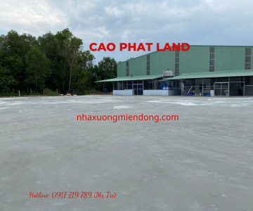 CHO THUÊ NHÀ XƯỞNG TRONG KHU CÔNG NGHIỆP MỸ PHƯỚC, BÌNH DƯƠNG, SP: 204-23