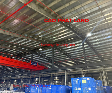 CHO THUÊ NHÀ XƯỞNG TRONG KHU CÔNG NGHIỆP BÌNH DƯƠNG, DIỆN TÍCH KHUÔN VIÊN: 10.000 M2, SP: 96-25