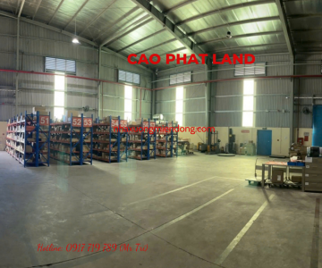 CHO THUÊ NHÀ XƯỞNG TRONG KHU CÔNG NGHIỆP LONG AN, DIỆN TÍCH: 960 M2, SP: 128-25