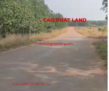 BÁN ĐẤT TẠI PHÚ GIÁO, BÌNH DƯƠNG, DIỆN TÍCH: 100-25