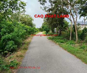 BÁN ĐẤT DẦU TIÊNG, BÌNH DƯƠNG, DIỆN TÍCH: 10.025 M2, SP: 56-25